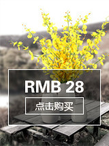 标题名称