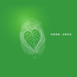 承擔發(fā)展科技和創(chuàng)自主知識產權的責任
