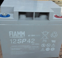 12SP42非凡电池（FIAMM）