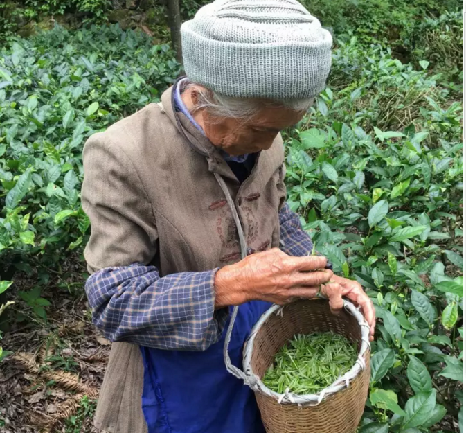 1514363999848284.png a6.png