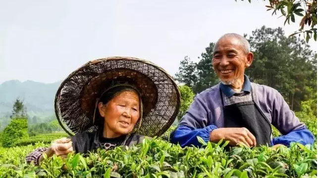 1514364017329241.png a7.png