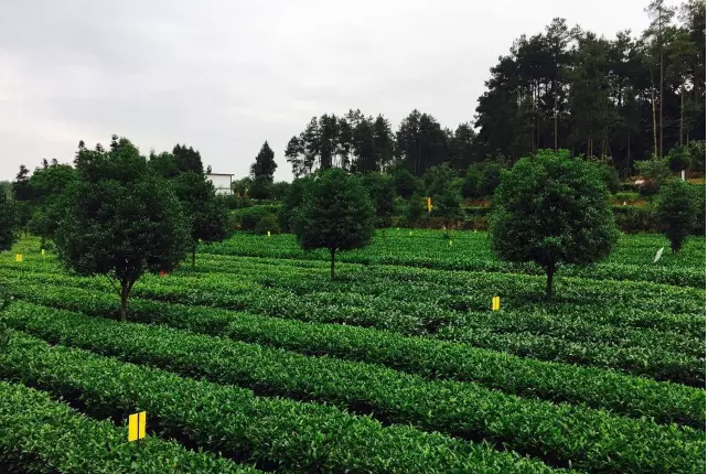 1514364151747798.png a11.png