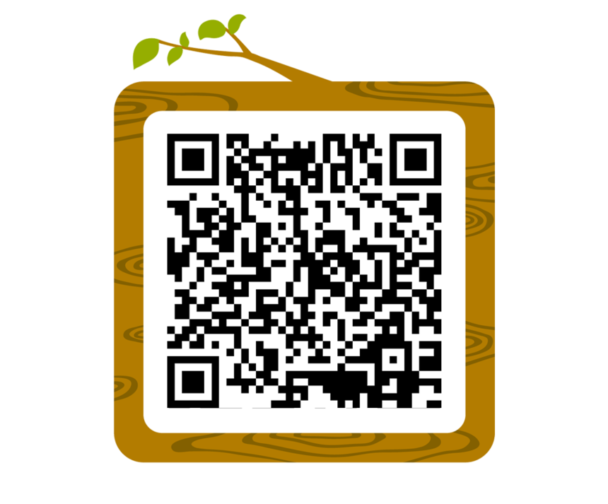 1544778186996336.png