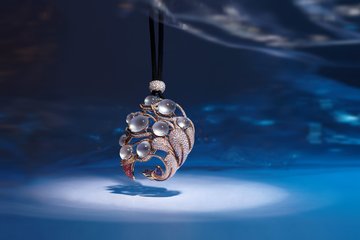 t0152600d4306fd69a3.jpg