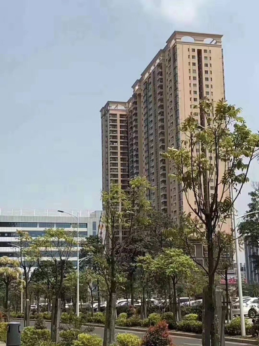 沙井村委统建楼中心名座.jpg 沙井村委统建楼中心名座.jpg