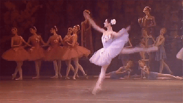 20d0e63.gif