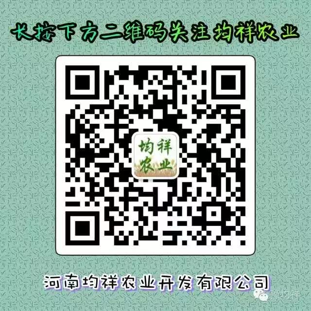 1330384803.jpg