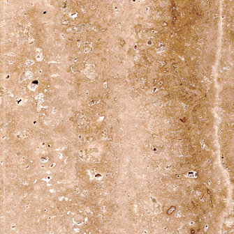 Sʯ Tuekey Beige Travertine.jpg