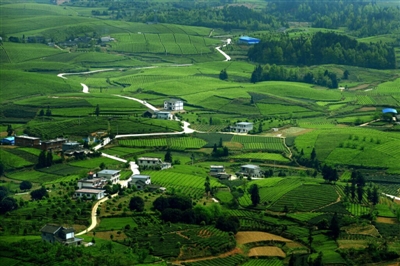 1467256544566272.jpg 3.jpg