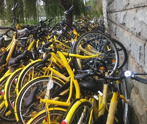 ofo.jpg