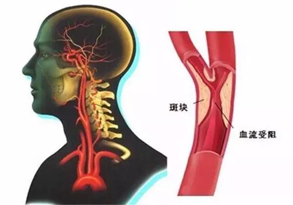 1477661679955588.jpg 小长假4.jpg