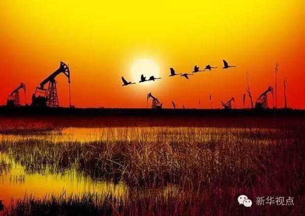 1478087033232080.jpg 湿地保护修复制度.jpg