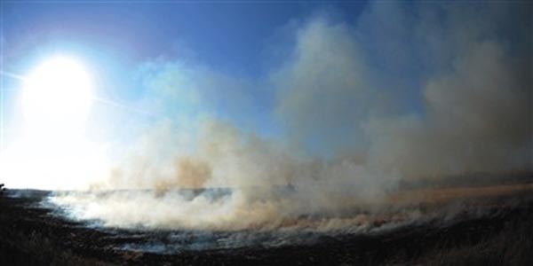 1480138492662179.jpg 农民在焚烧秸秆.jpg