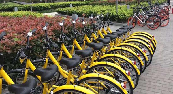 1487499776695126.jpg 单车租赁.jpg