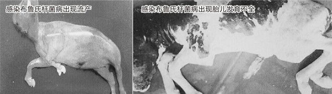 1476240737105326.jpg QQ截图20161012105203.jpg