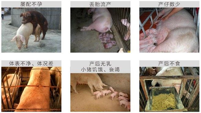 1476239538941632.jpg QQ截图20161012103153.jpg