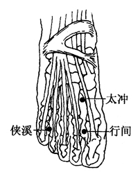 ͼ2-6-3�м䡢̫�塢��Ϫ