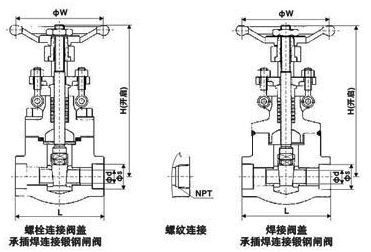 1480407726159141.png Z11 61Y锻钢内螺纹结构图.png