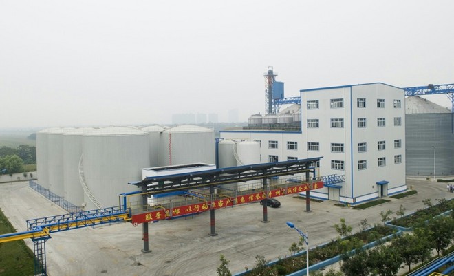 阳光.jpg