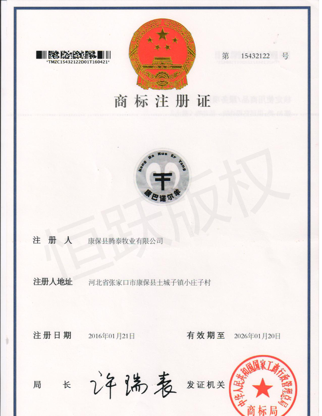 �̱�1 011����.png