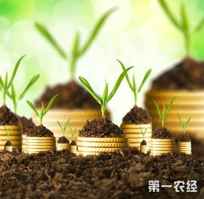 我国前三季度农业项目投资达21.8% 推动农村产业融合