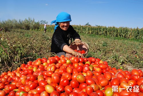 国务院:完善农民增收支持政策的四个明确要求