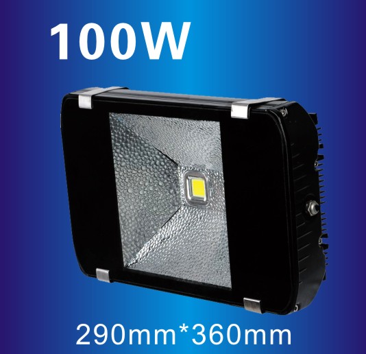 LED100W