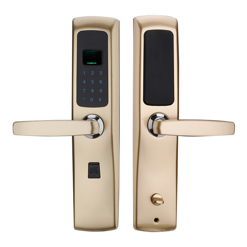 HDH-6009.png