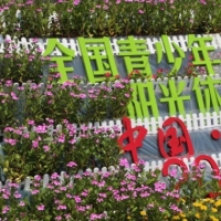 2016 
