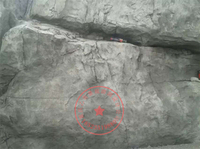 mmexport1462333232449