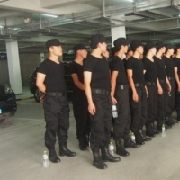 ͣ��������