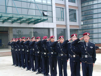 д��¥����