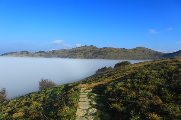 合作景区  陕西合作景区 安康景区 神田草原 2,总部客服电话