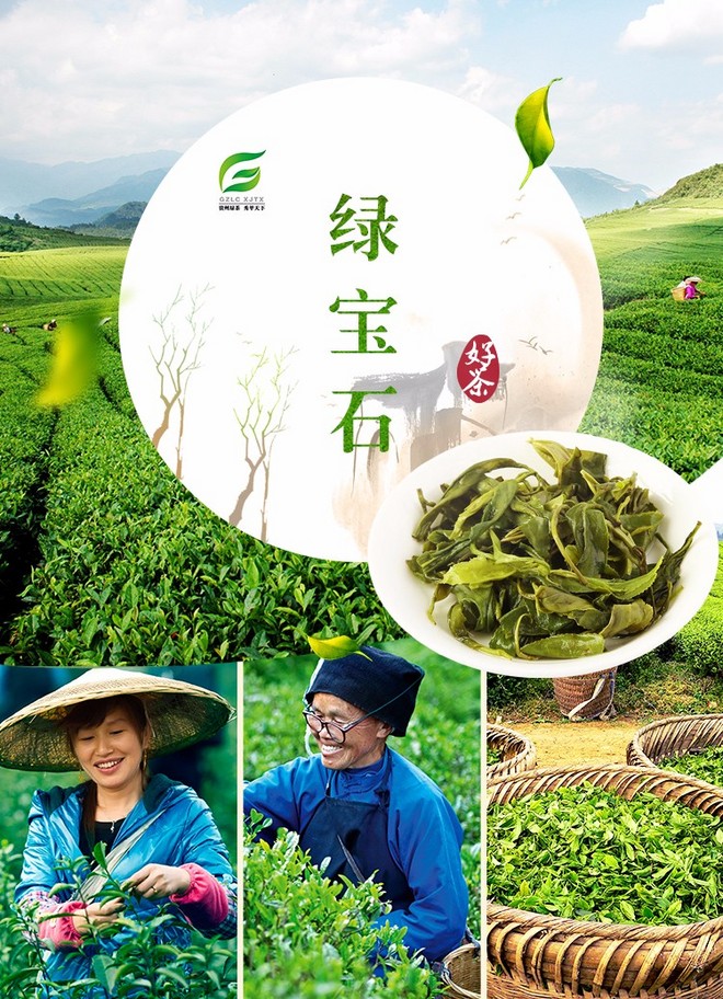 贵茶绿宝石 贵州绿茶 高原免洗茶 一级铁盒装108g