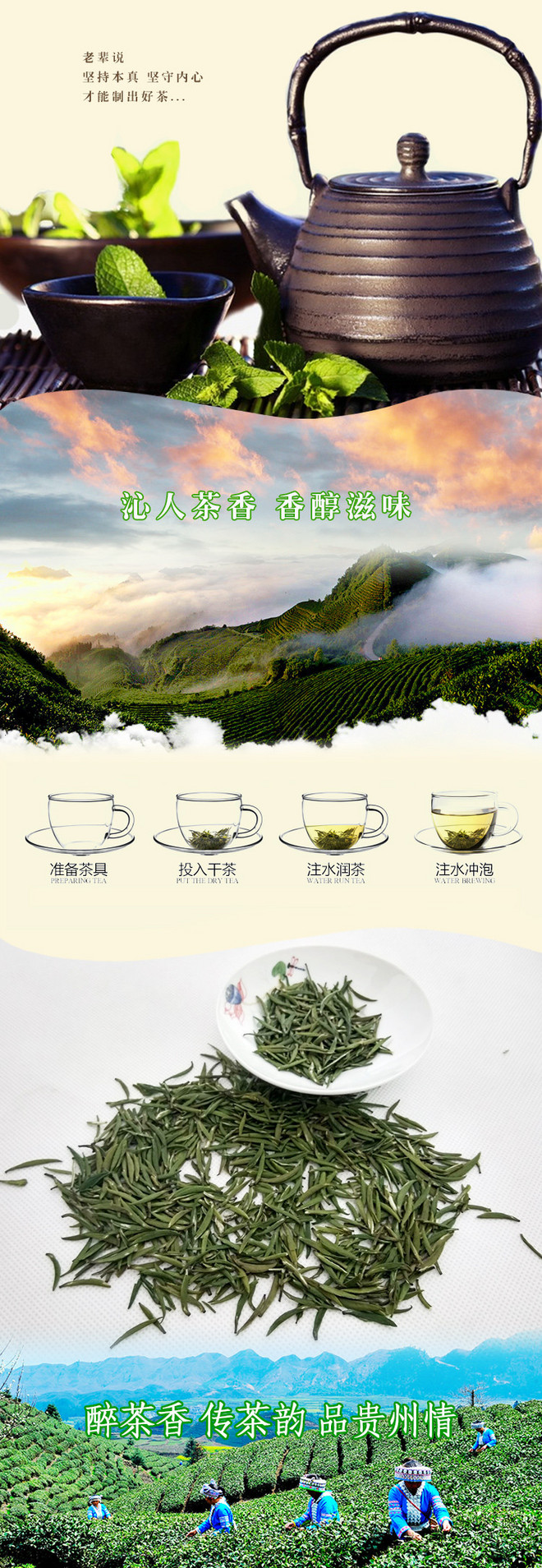 梵淨山翠峰茶袋裝250g