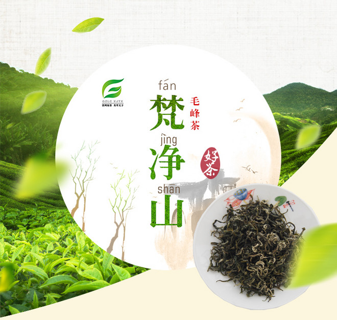 梵净山毛峰茶 特级100g