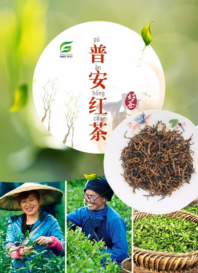 特级普安红茶 250g 袋装