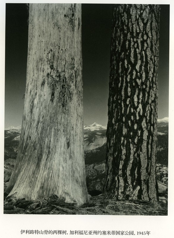 亚当斯摄影作品集